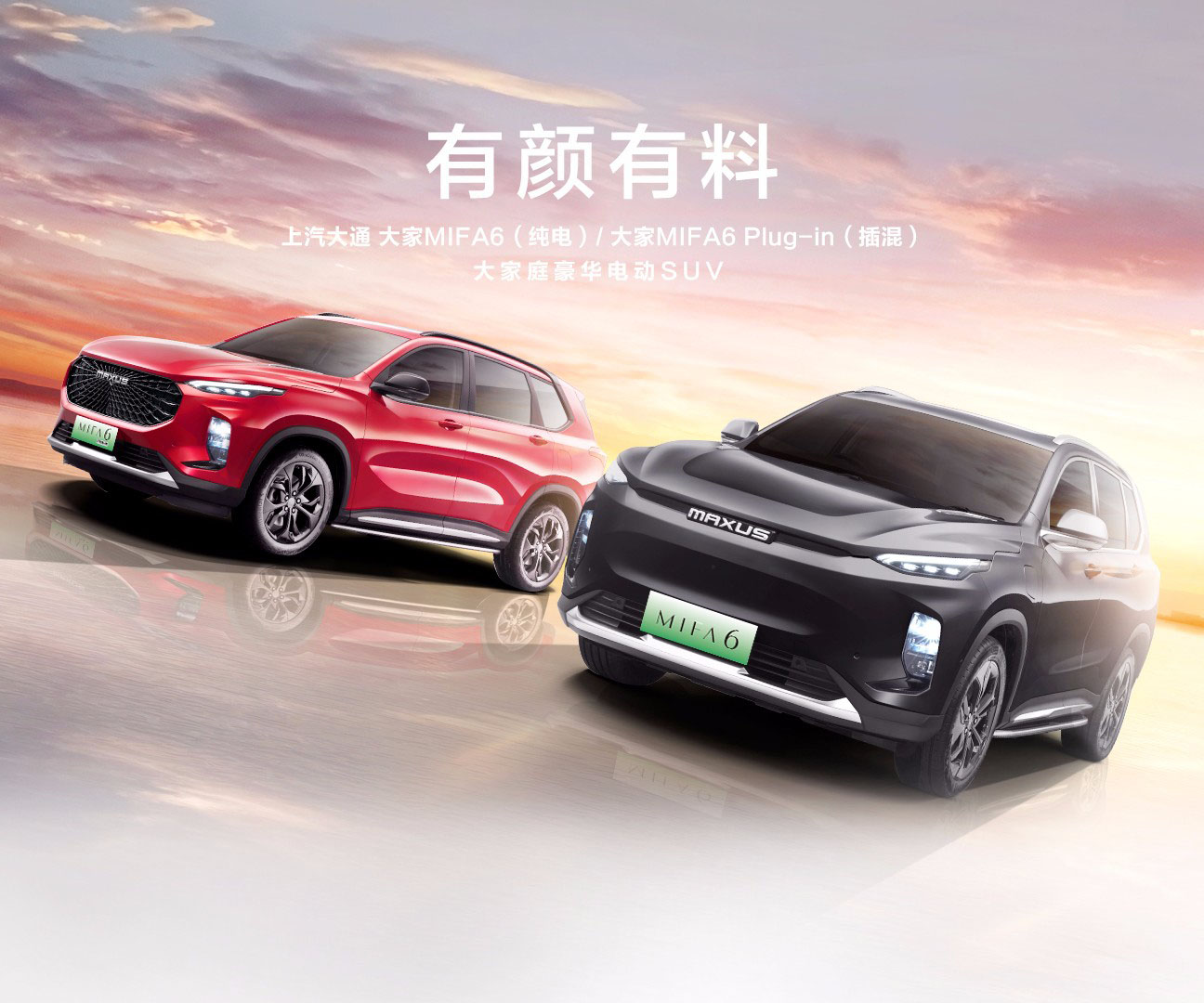 上汽大通-上汽大通MAXUS 大家MIFA6