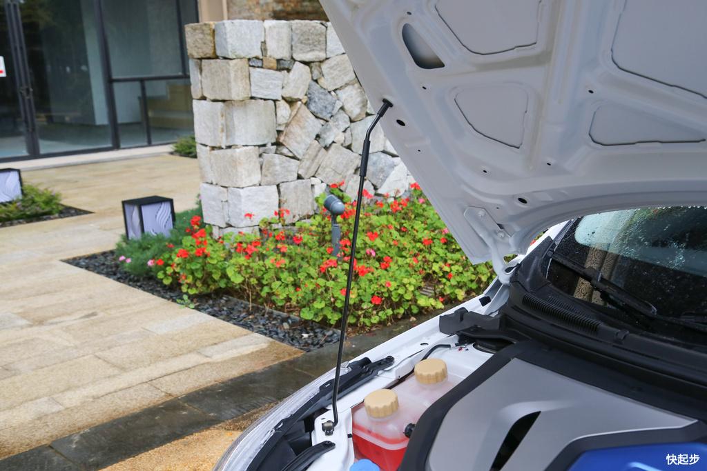 東風風行-風行景逸S50EV