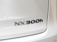 雷克薩斯雷克薩斯NX