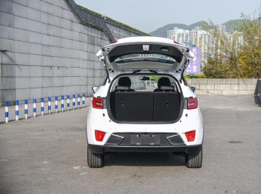 眾泰-T300EV
