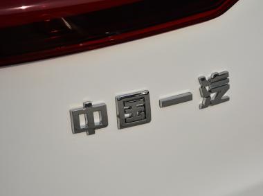 新特新特DEV 1