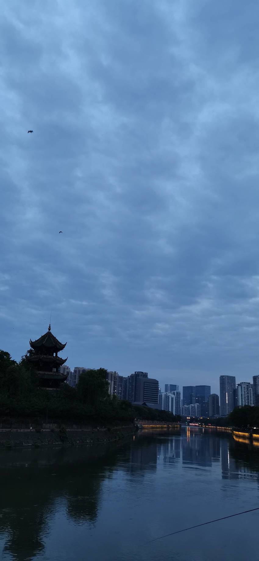 江樓雜感