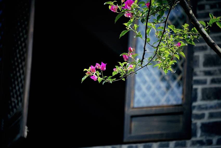 新場古鎮游