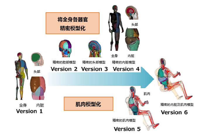 豐田汽車公司將無償公開虛擬人體模型“THUMS” ——通過普及運用車輛碰撞傷害解析,為提升汽車安全性能做貢獻——