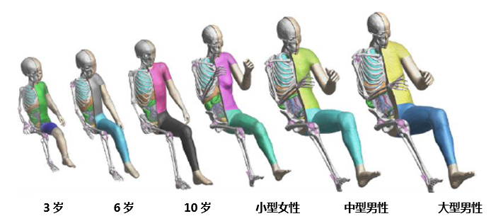 豐田汽車公司將無償公開虛擬人體模型“THUMS” ——通過普及運用車輛碰撞傷害解析,為提升汽車安全性能做貢獻——