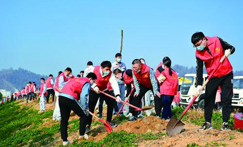 種下一棵樹 守住一片綠