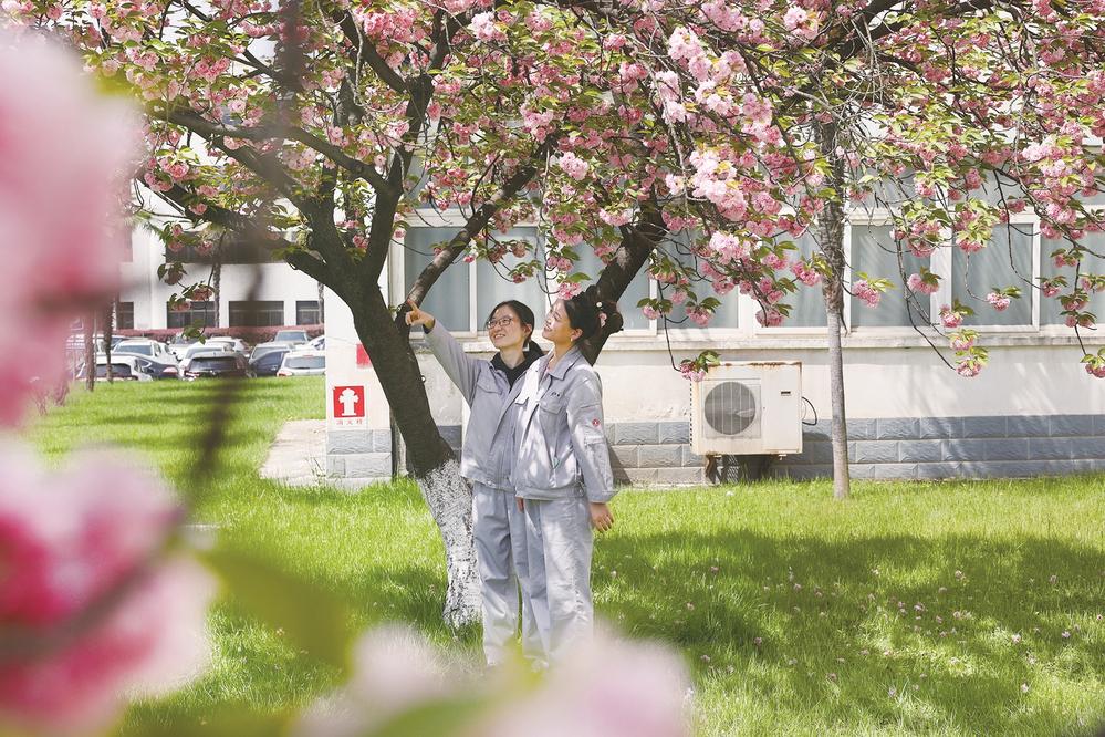 不負(fù)春光加速跑