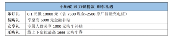 購車用車養車小螞蟻15萬蟻粉款全方位演繹高性價比