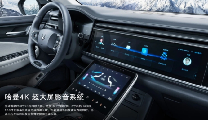 新能源汽車新政策出臺(tái)！怎么選擇一款合適的車型呢？