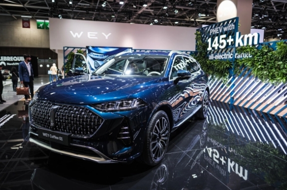現(xiàn)代汽車集團(tuán)已成美國(guó)電動(dòng)汽車市場(chǎng)銷量第二高廠商前三季度份額接近10%