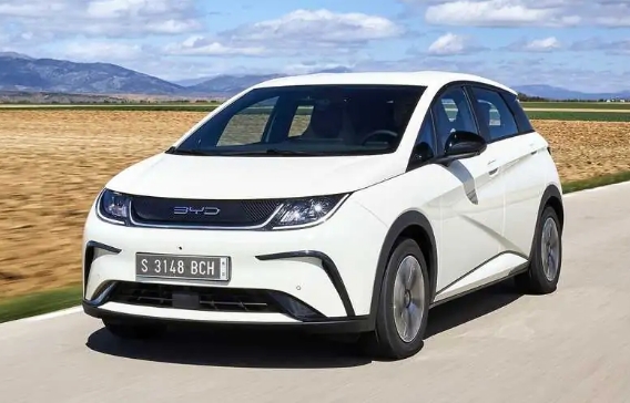 新比亞迪海豚:中國(guó)電動(dòng)汽車(chē)的尺寸和引導(dǎo)