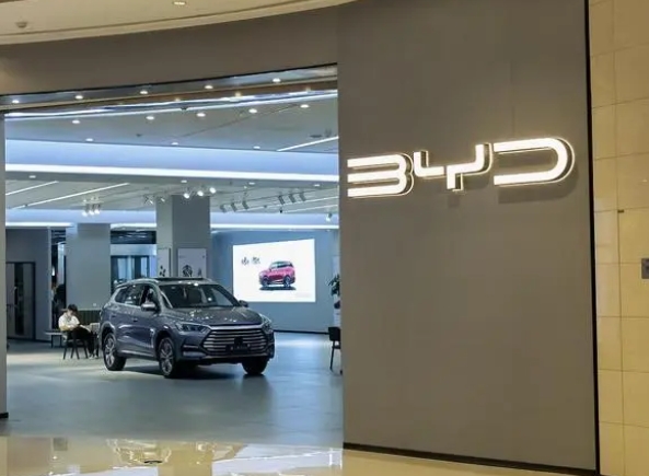 德國(guó)1-2月純電動(dòng)汽車銷量出來啦,第一名實(shí)至名歸