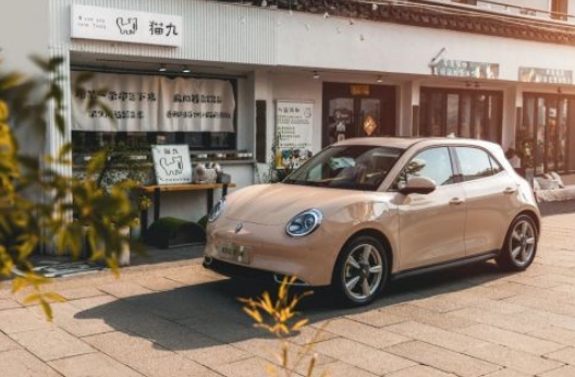 易車：新能源汽車市場(chǎng)增長(zhǎng)迅猛，豐富產(chǎn)品矩陣意義凸顯