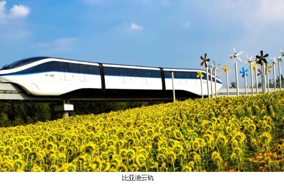 比亞迪如何成為中國領先的電動汽車制造商
