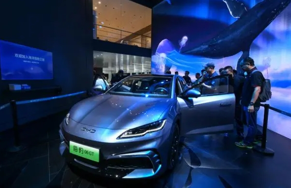 中國品牌坐穩尼泊爾電動汽車市場“頭把交椅”