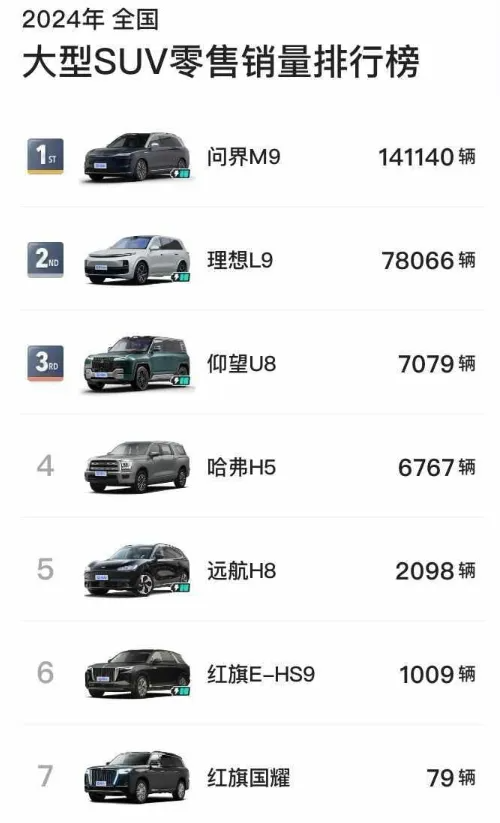 2024年,各級別銷冠都是誰?(SUV篇) 2024年,各級別SUV銷冠都是誰?